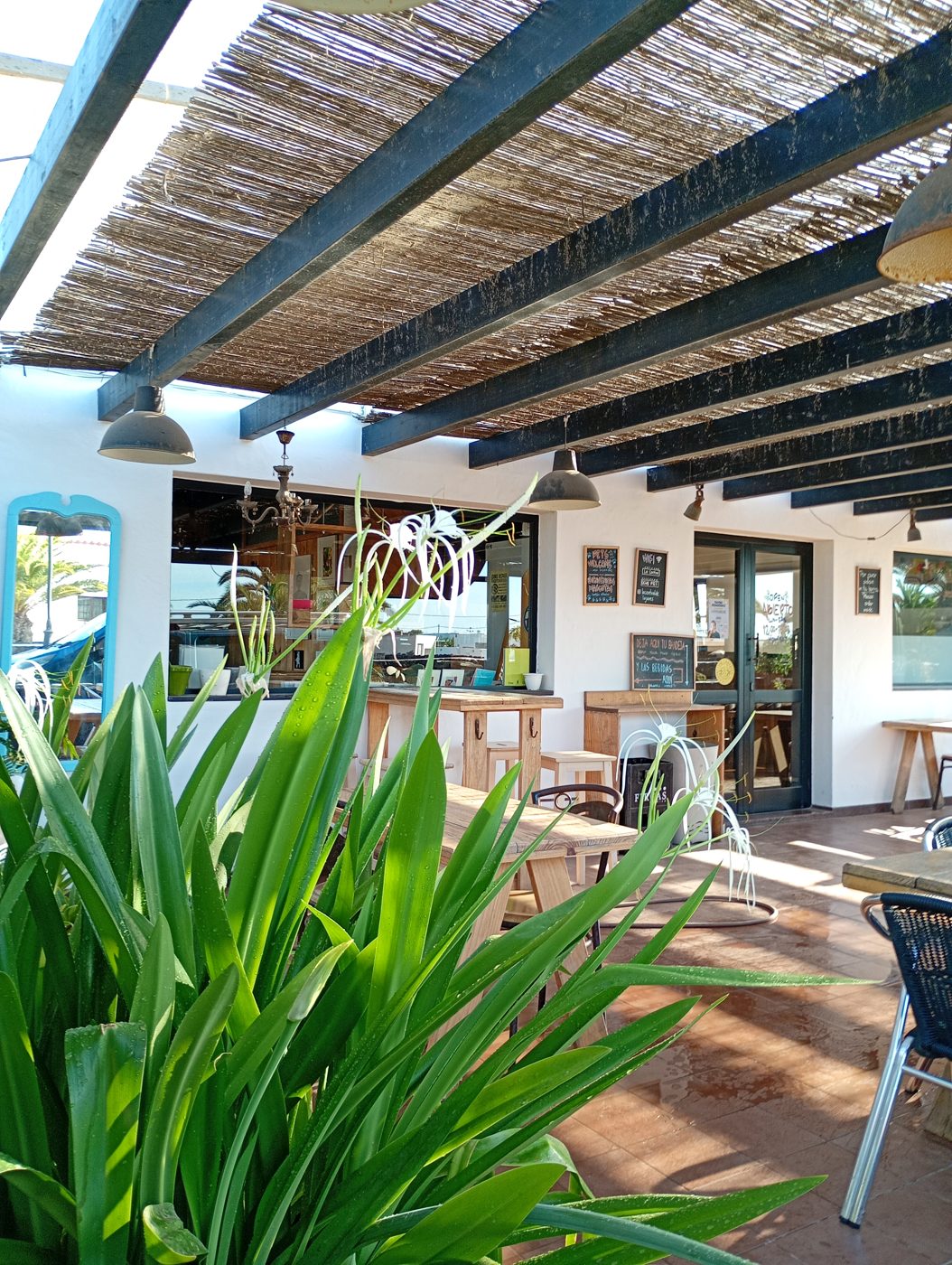 Terraza de La Central en Lajares con pérgola de caña, plantas y mesas de madera al sol